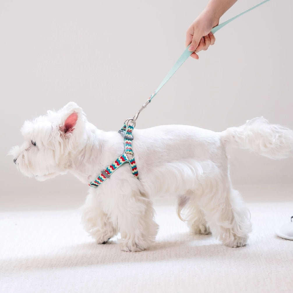 Jacquard No-Pull Adjustable Dog Harness Camo Tricolor / L