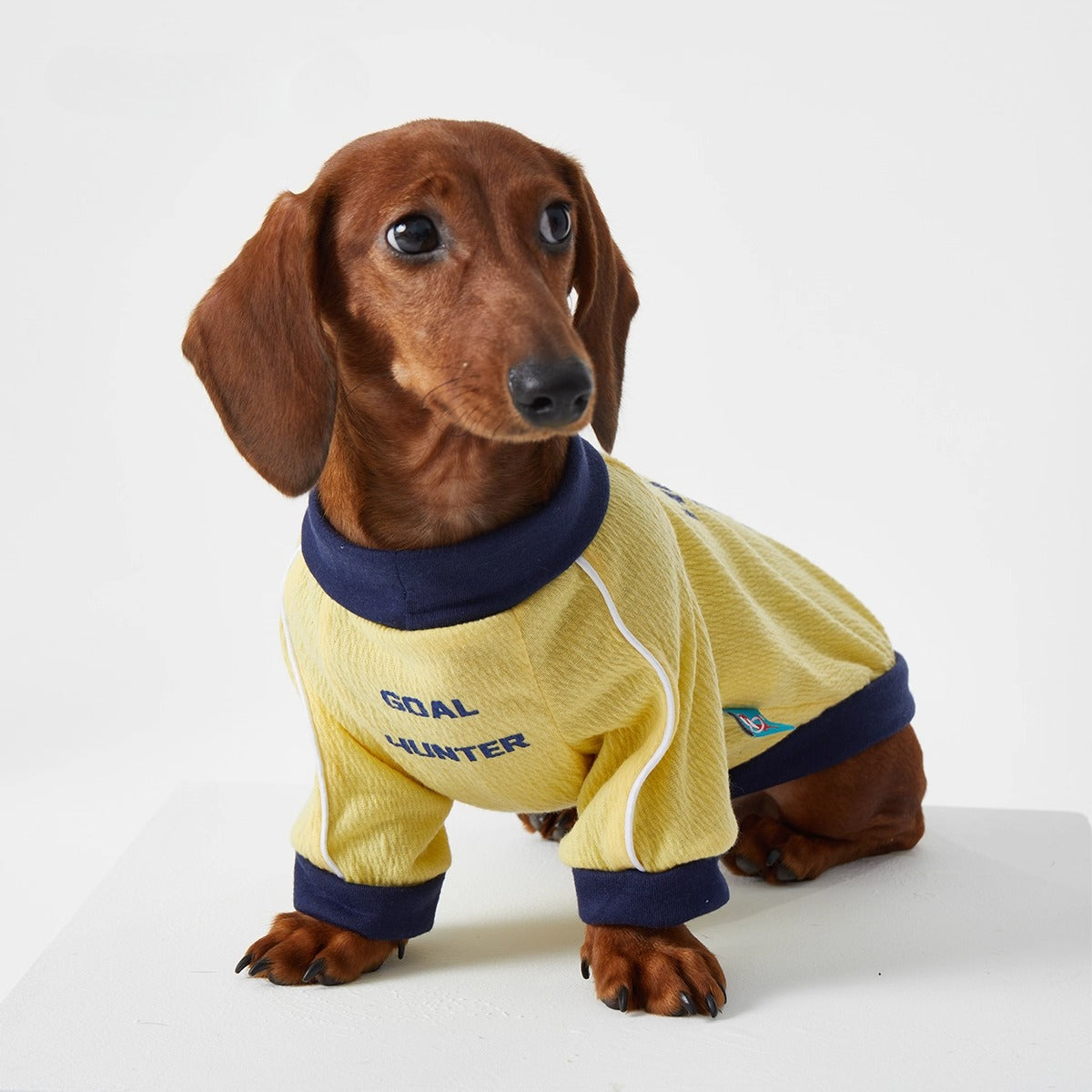 Dachshund Cozy Jersey Dog Sweatshirt Yellow / XL