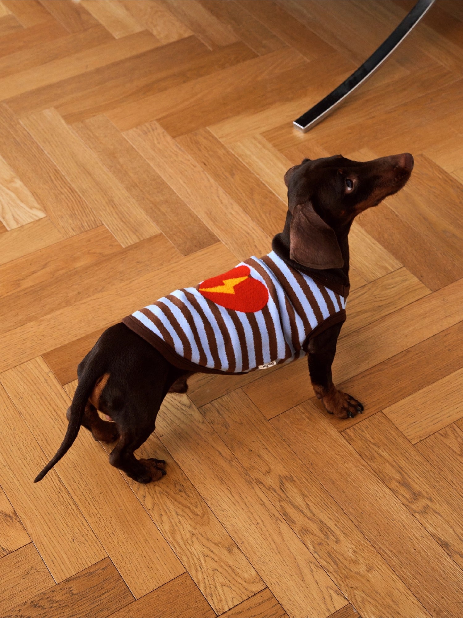 Brown-Blue Stripe Velvet Embroidered Jumper