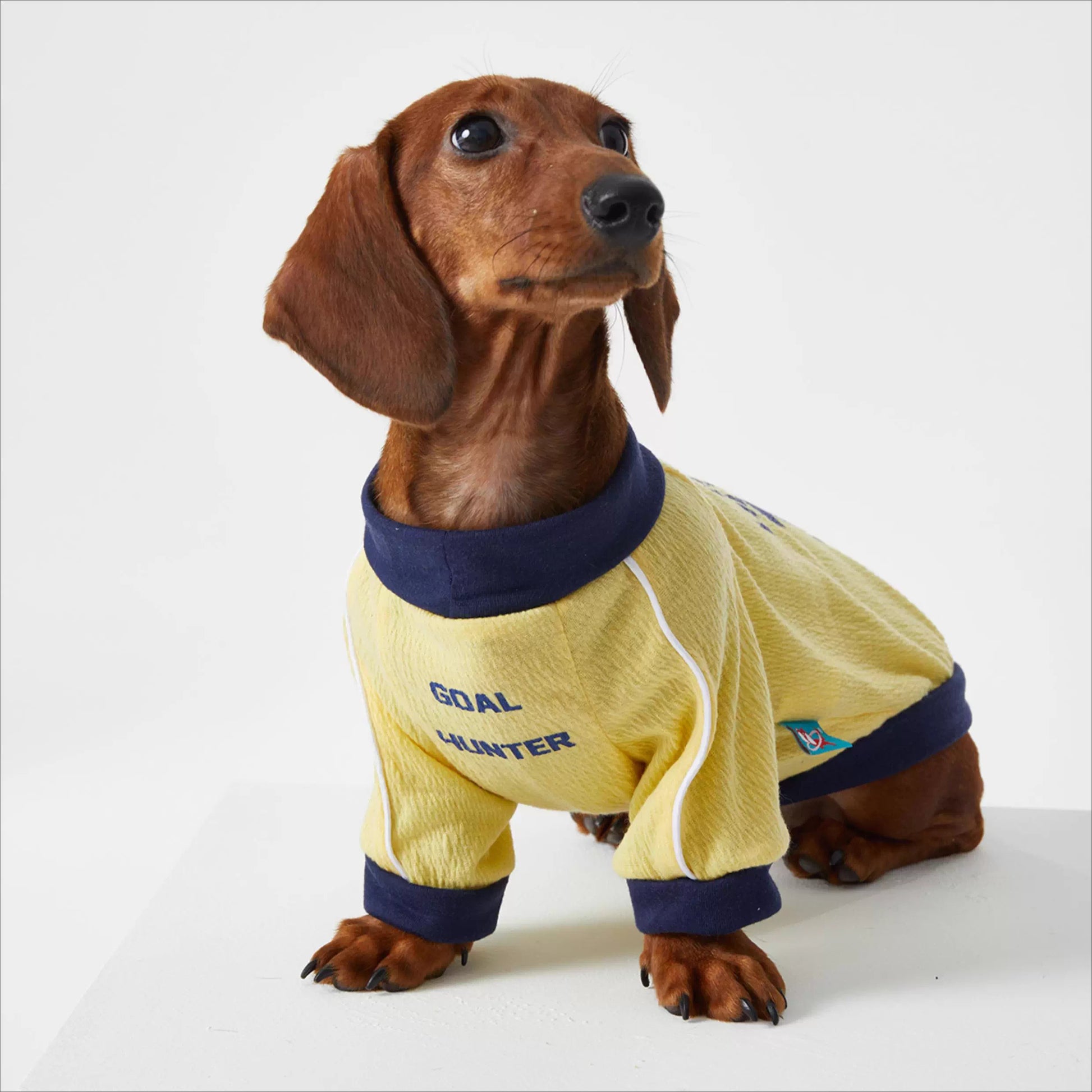 Dachshund Cozy Jersey Dog Sweatshirt