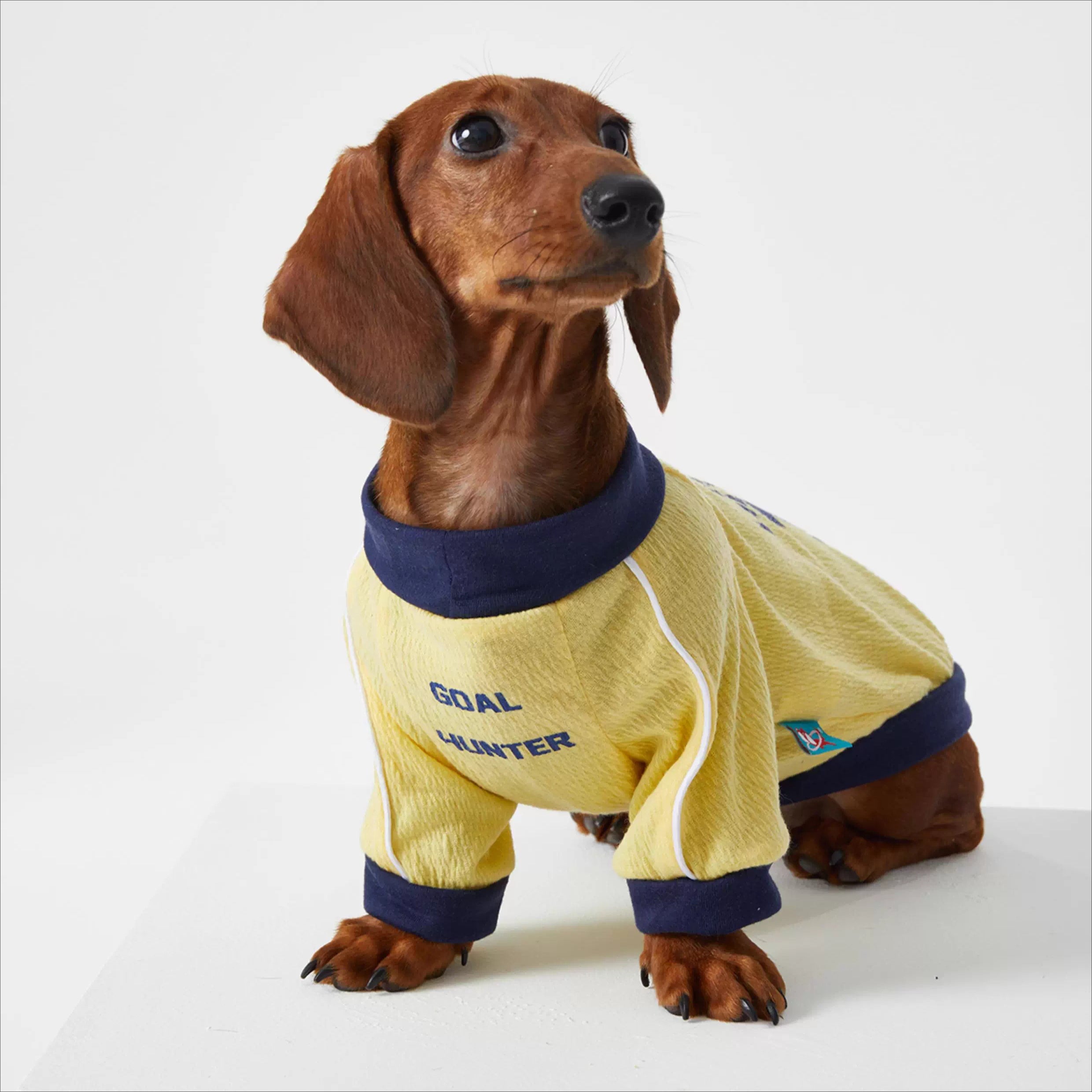 Dachshund Cozy Jersey Dog Clothes