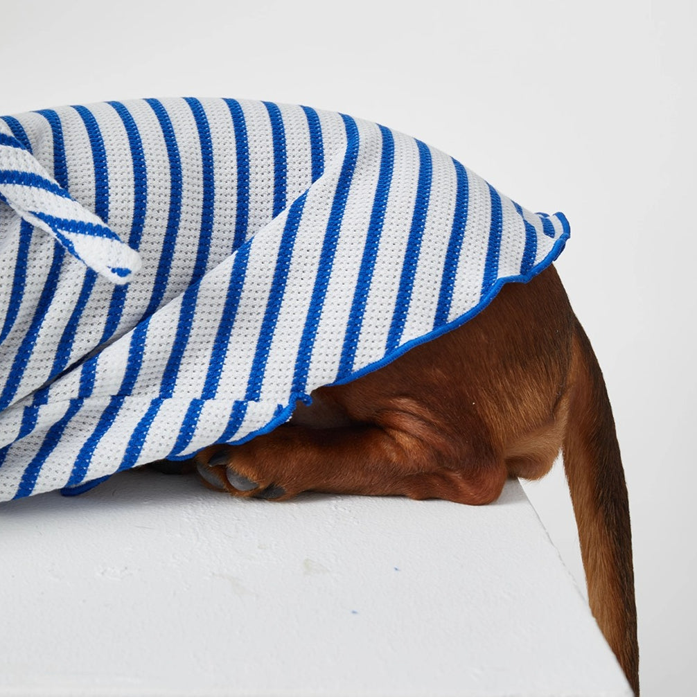 Dachshund Red & Blue Stripe Hoodie