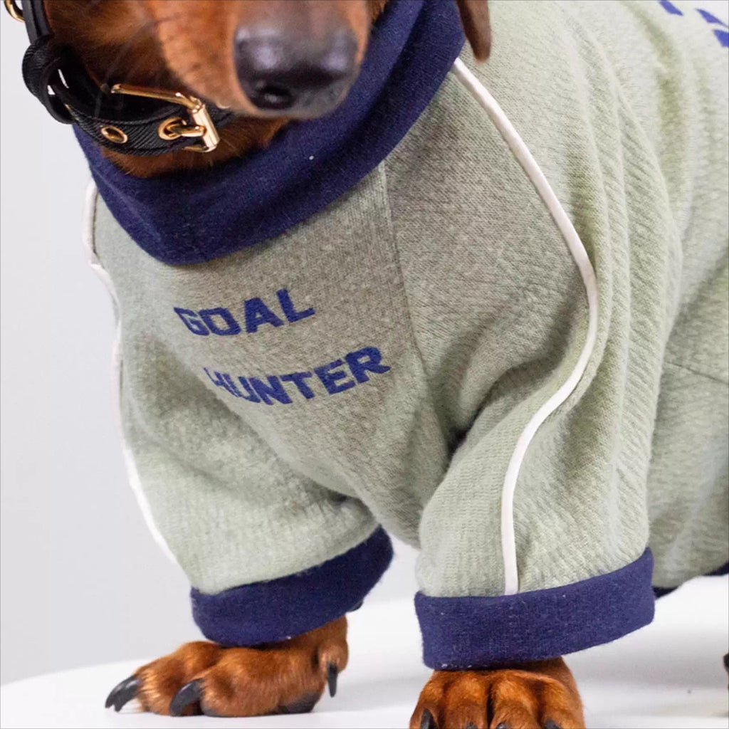 Dachshund Cozy Jersey Dog Clothes