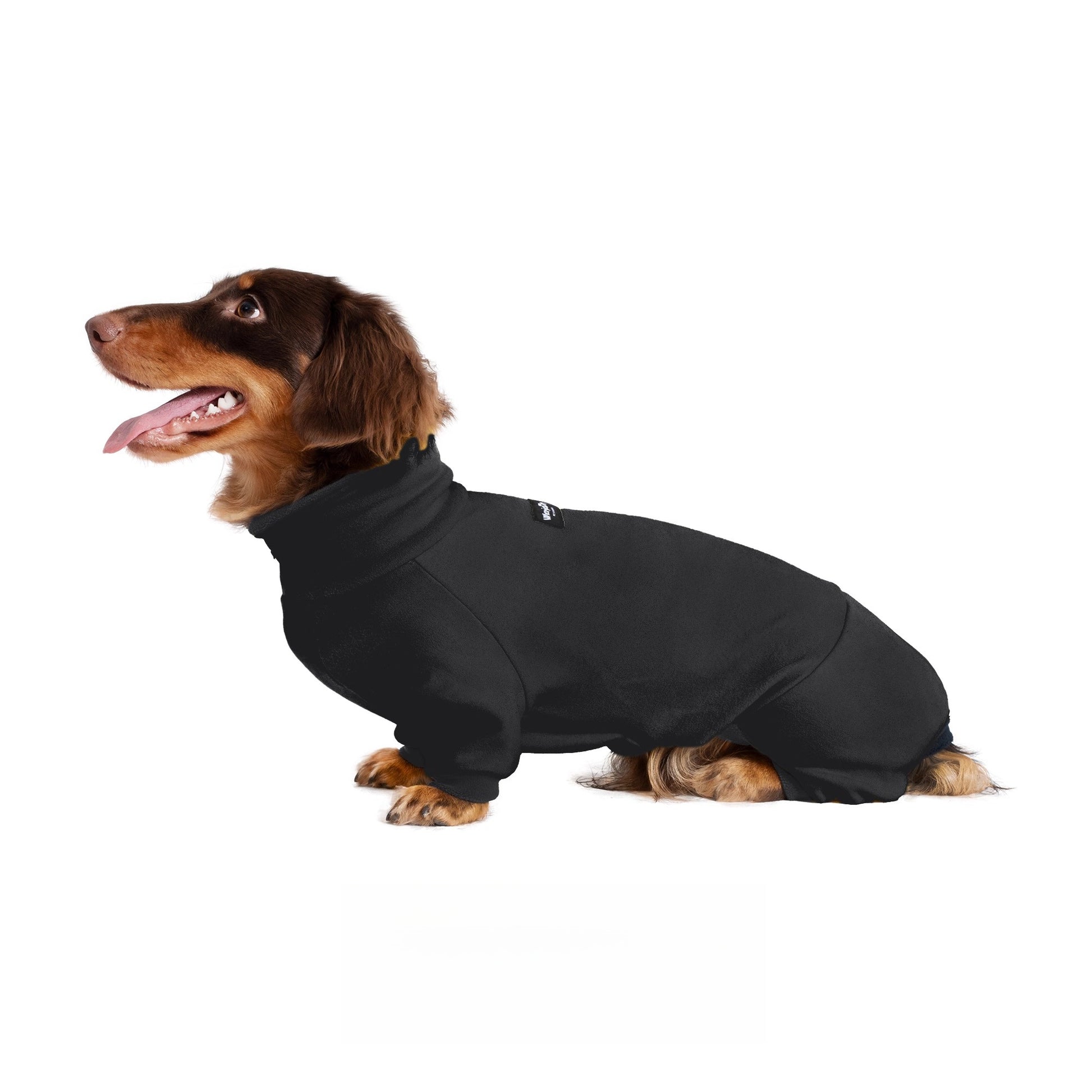 Dachshund Warm Stretchy Onesie Black / XXL