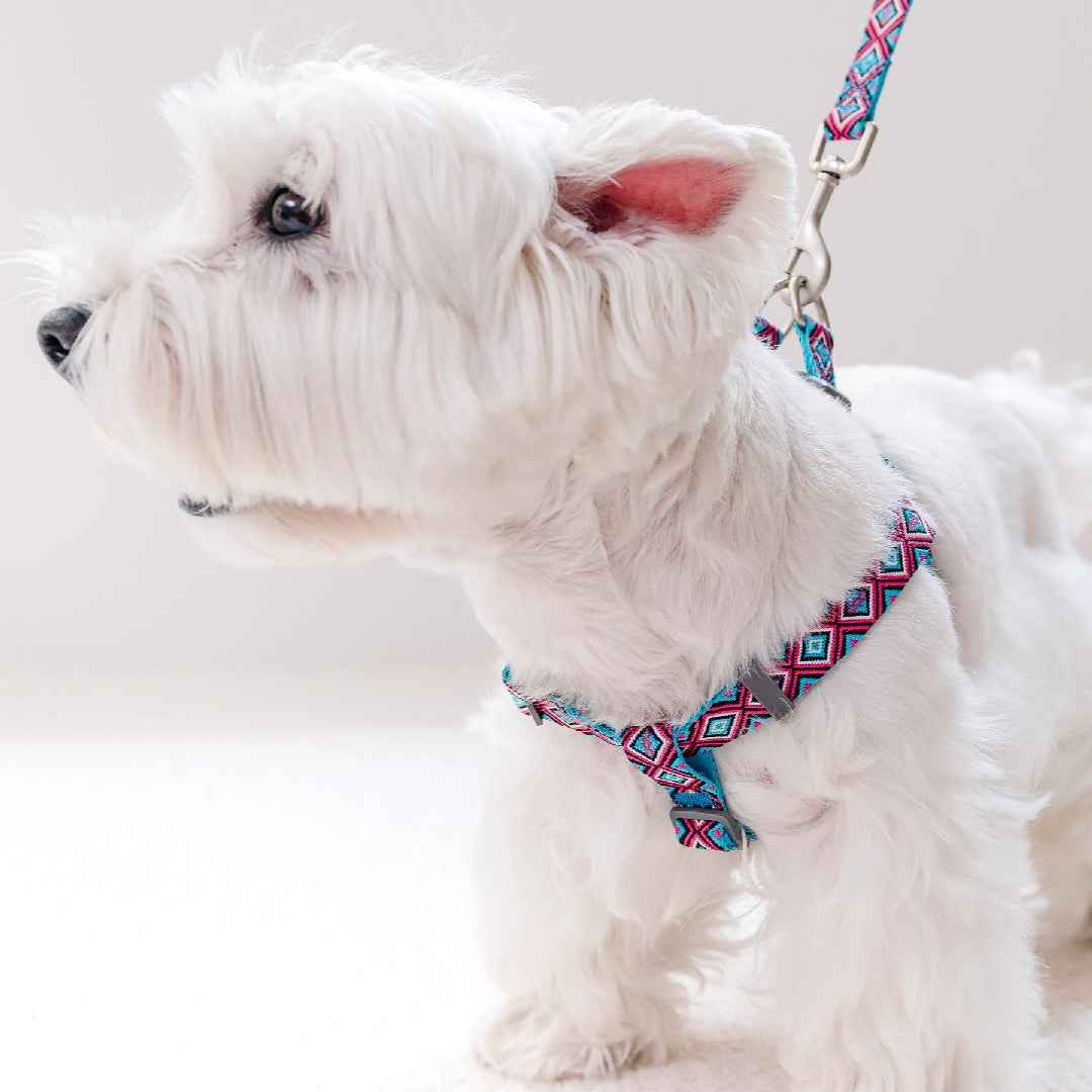 Jacquard Nylon Dog Leash