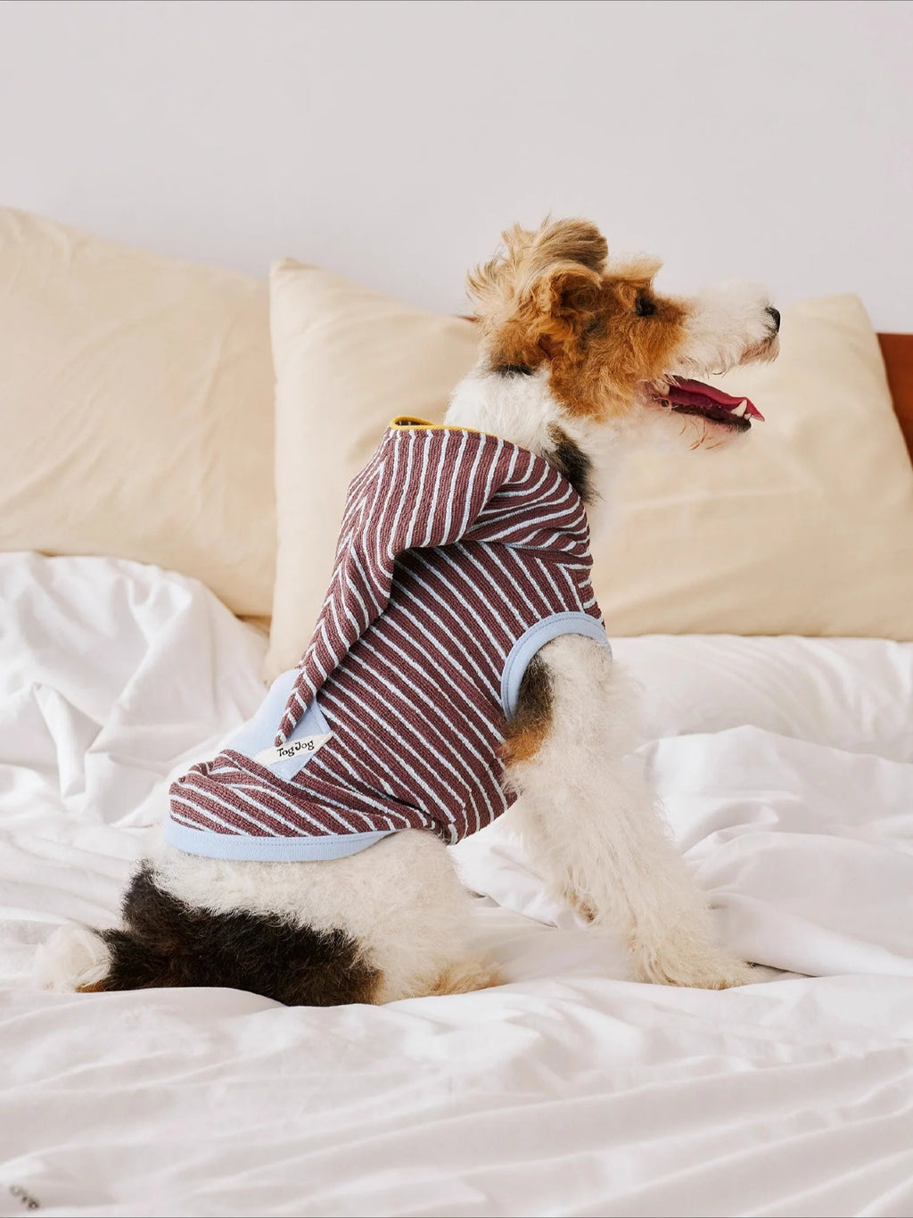Warm Stripe Pet Hoodie Pajama