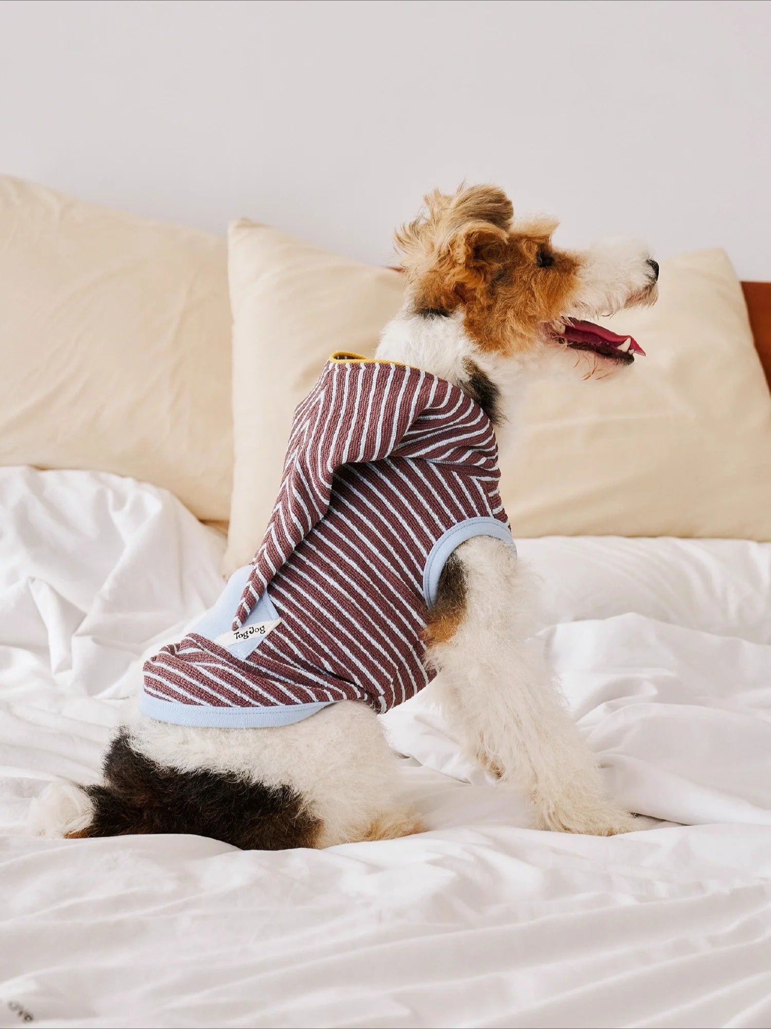 Warm Stripe Pet Hoodie Pajama