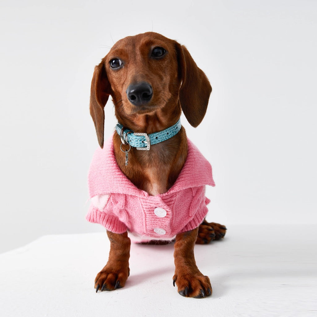 Dachshund Premium Polo Jumper Dog Sweater