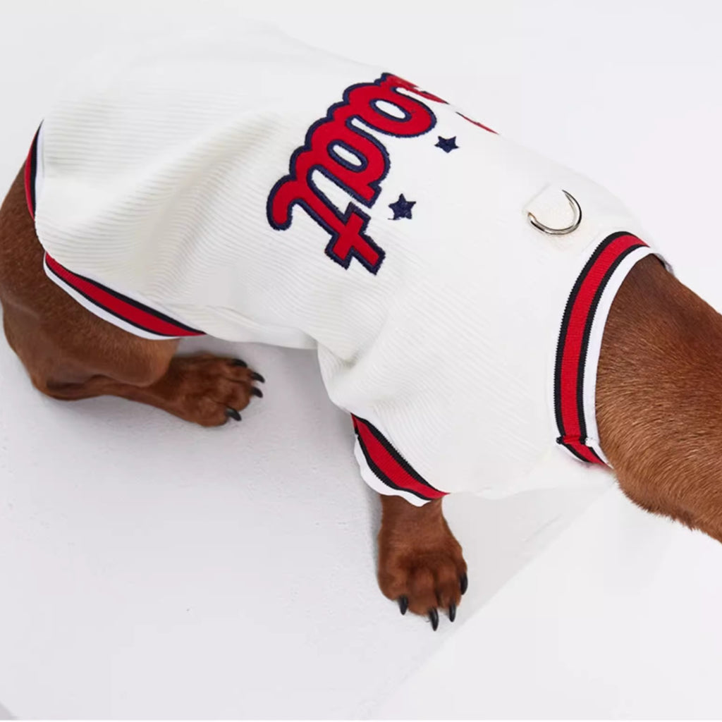 Dachshund Red-White Jumper Dog Clothes