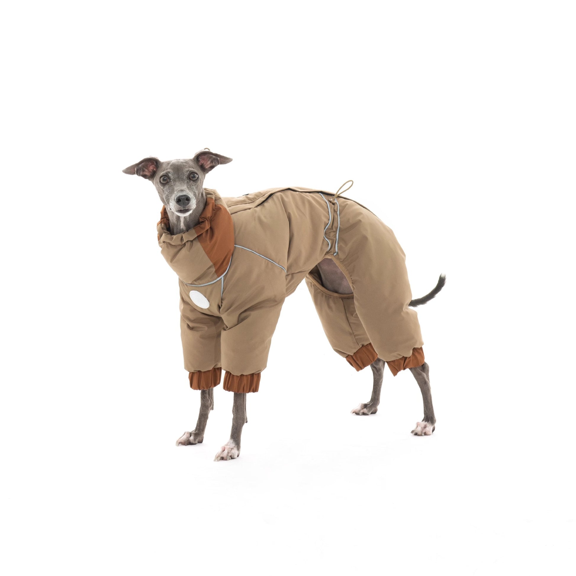 Warm Puffy Waterproof Four-leg Dog Snowsuit