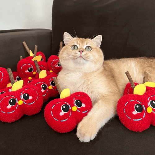 Apple Cat Chew Toy