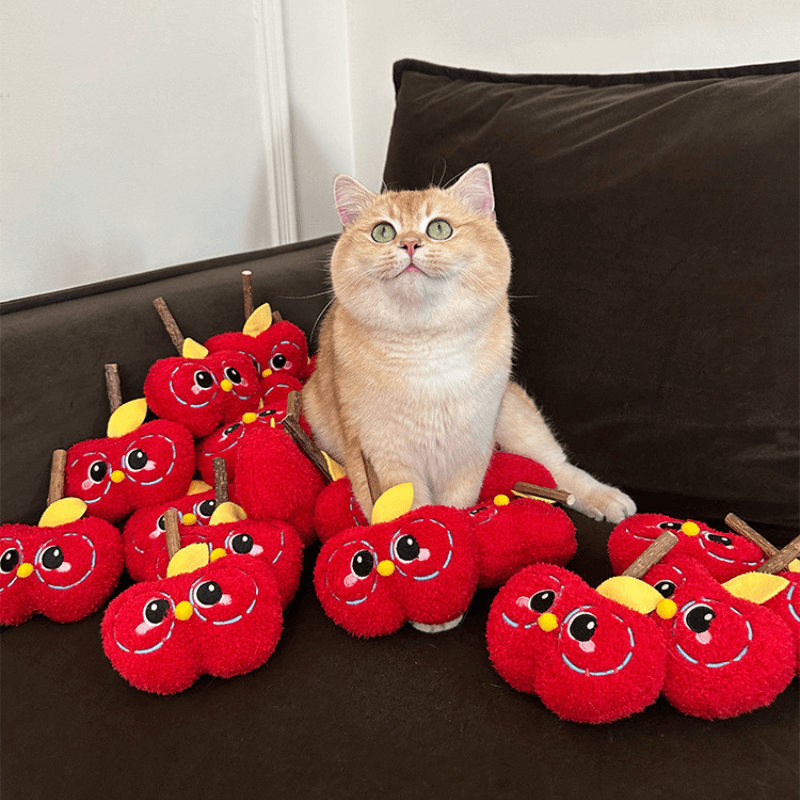 Apple Cat Chew Toy