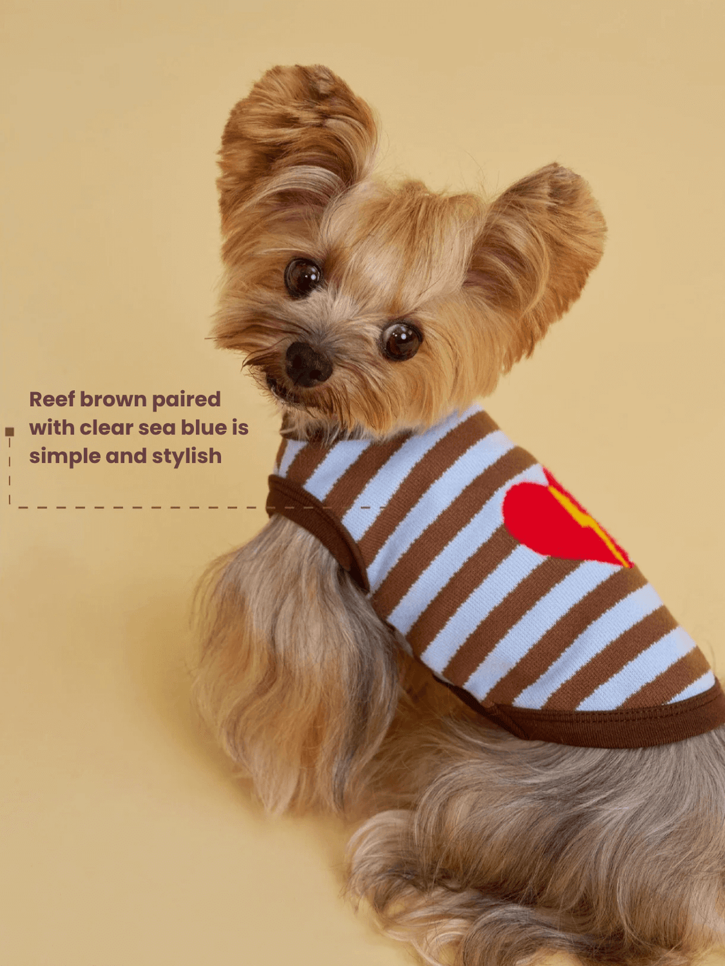 Brown-Blue Stripe Velvet Embroidered Sweater