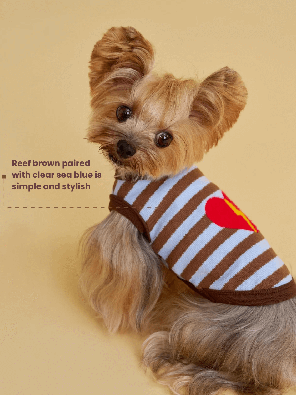 Brown-Blue Stripe Velvet Embroidered Jumper