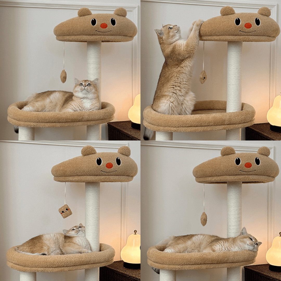 Butter Bear Cat scratch Tree