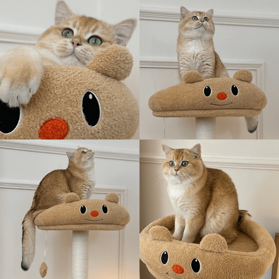 Butter Bear Cat scratch Tree