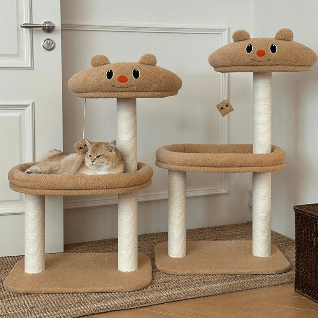 Butter Bear Cat scratch Tree