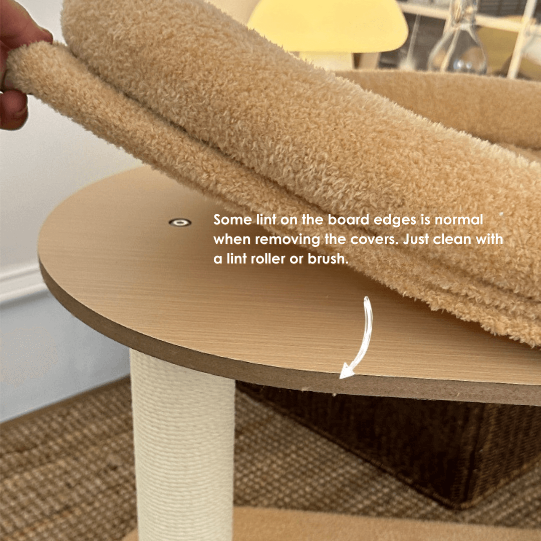 Butter Bear Cat scratch Tree