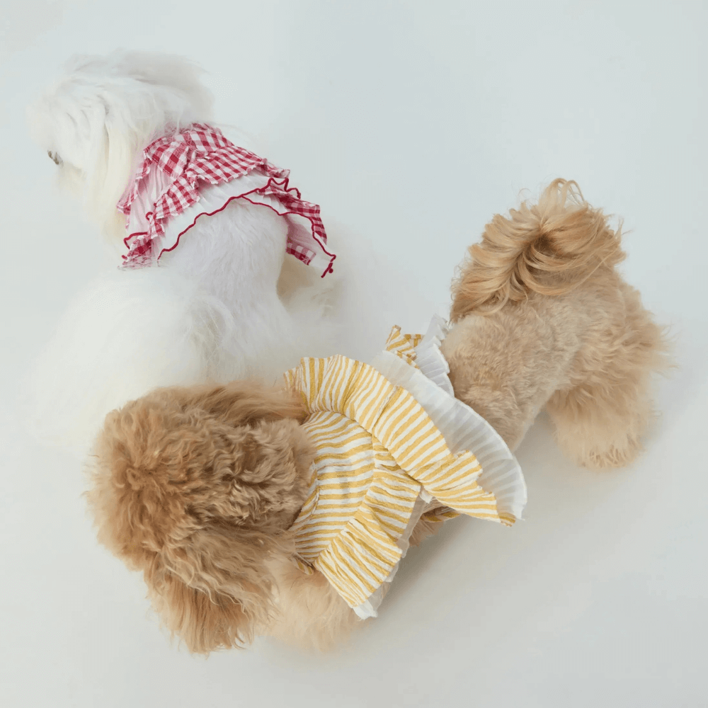 Cupcake Double-Layer Lace Dog Harness