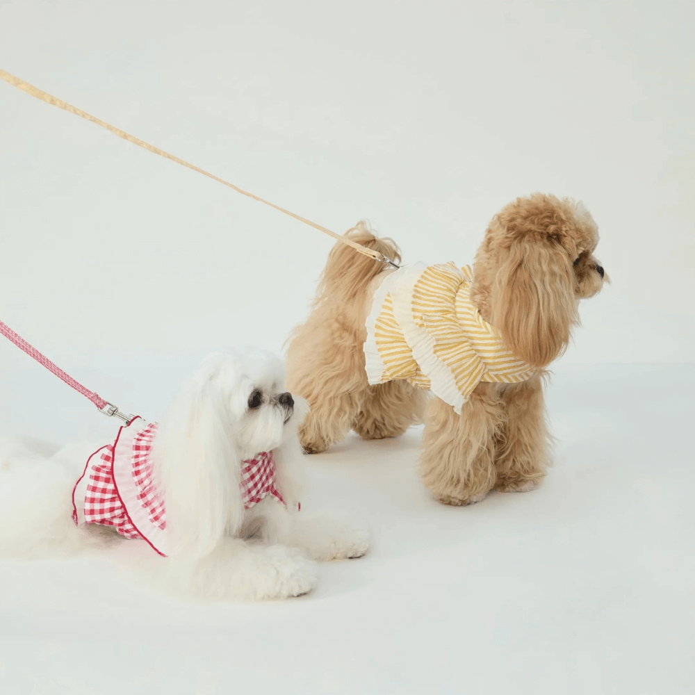 Cupcake Double-Layer Lace Dog Harness