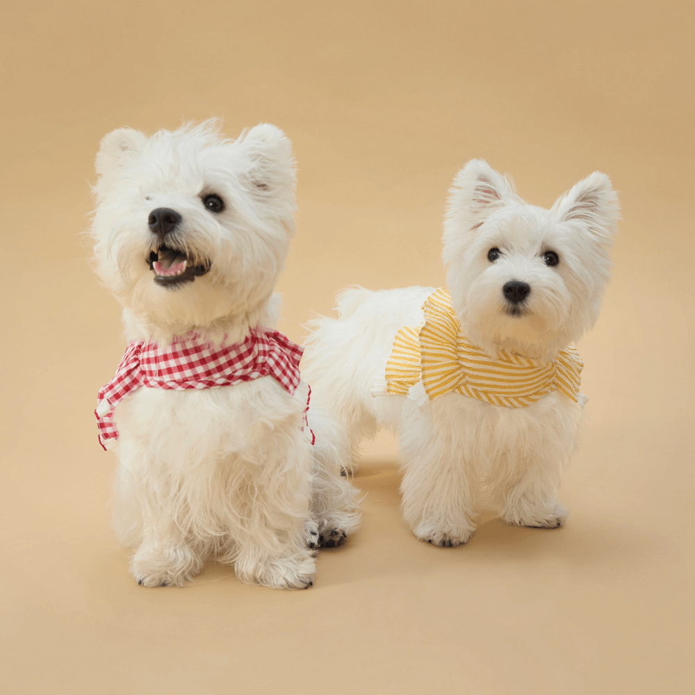 Cupcake Double-Layer Lace Dog Harness