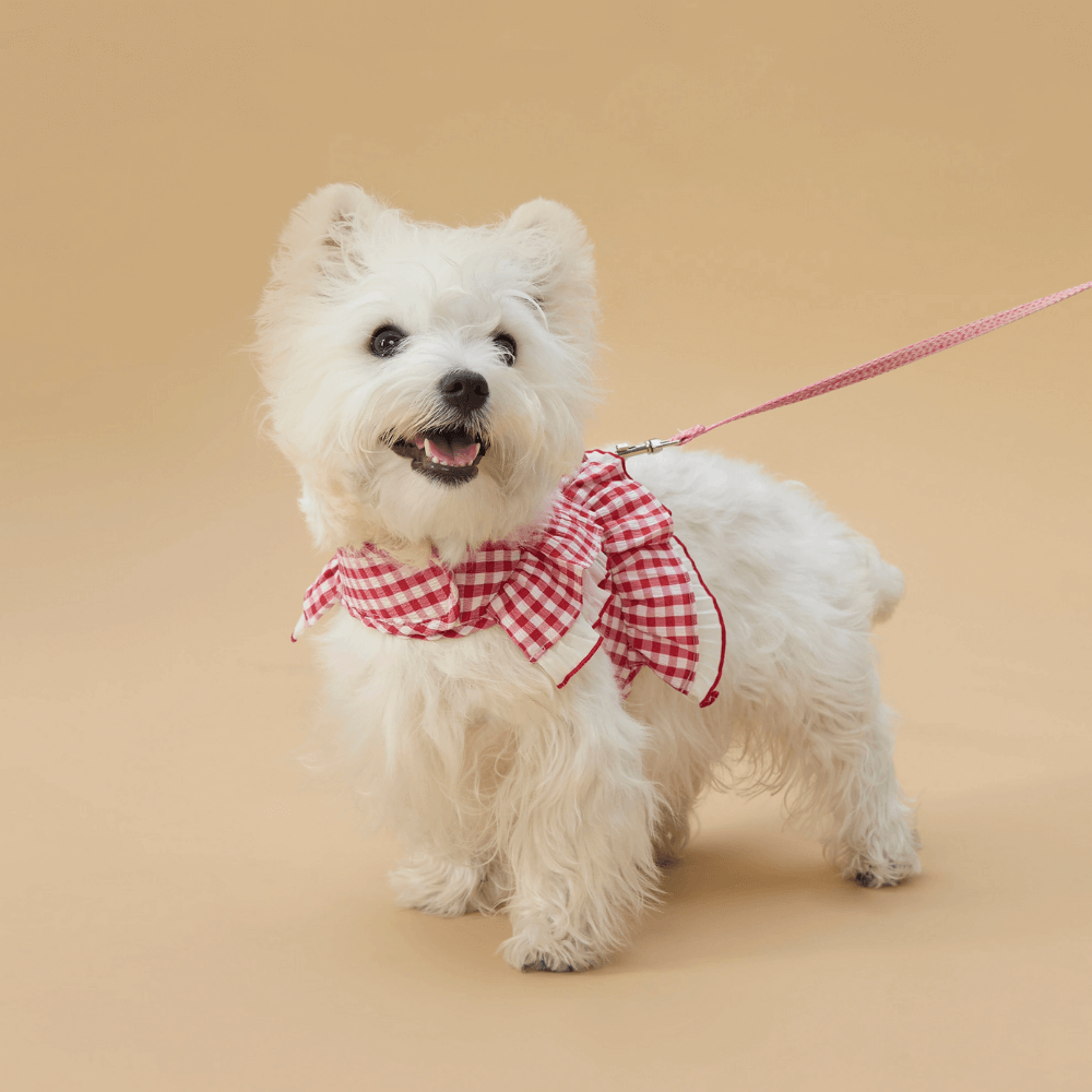 Cupcake Double-Layer Lace Dog Harness
