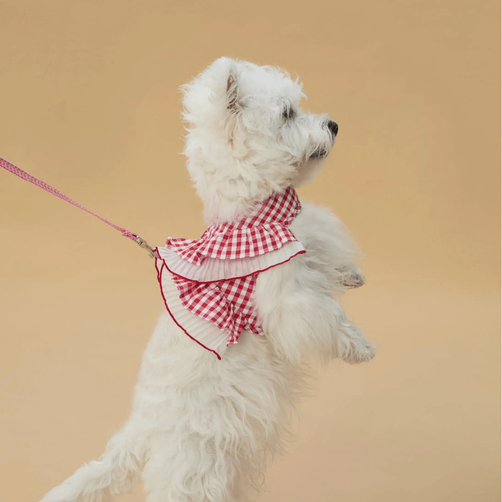 Cupcake Double-Layer Lace Dog Harness