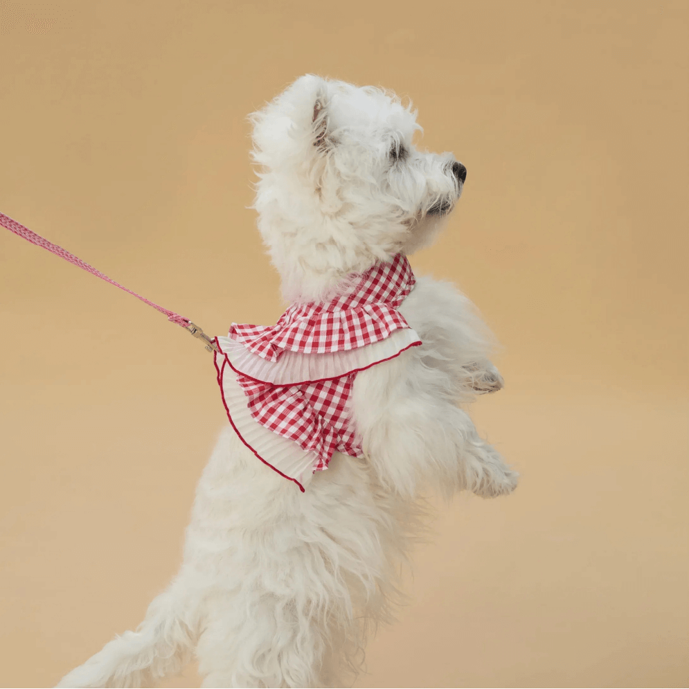 Cupcake Double-Layer Lace Dog Harness