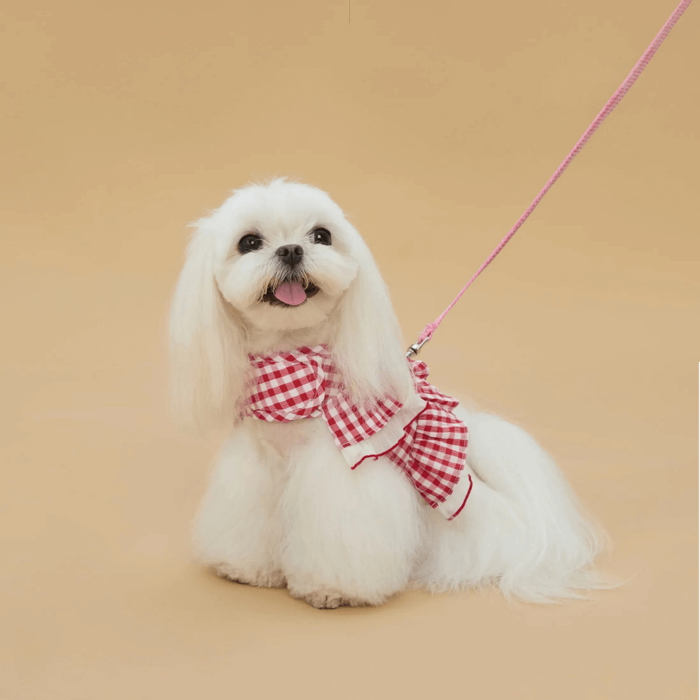 Cupcake Double-Layer Lace Dog Harness
