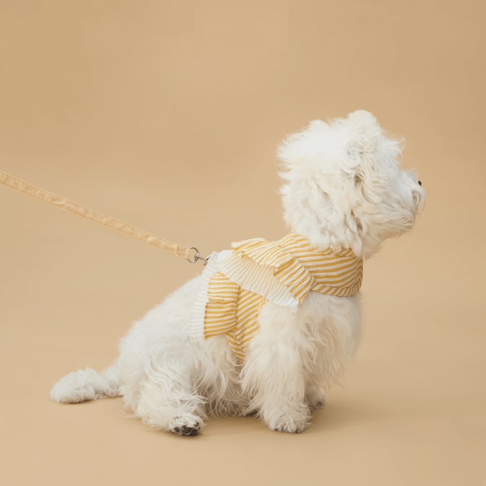 Cupcake Double-Layer Lace Dog Harness