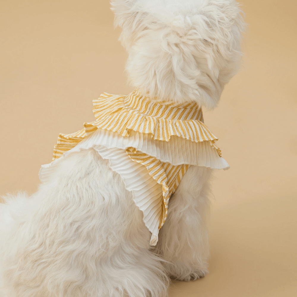 Cupcake Double-Layer Lace Dog Harness