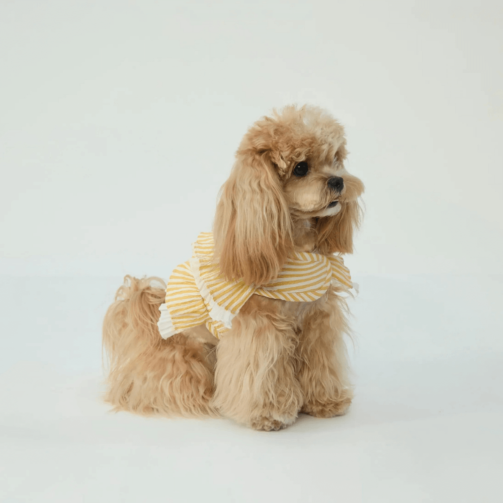Cupcake Double-Layer Lace Dog Harness