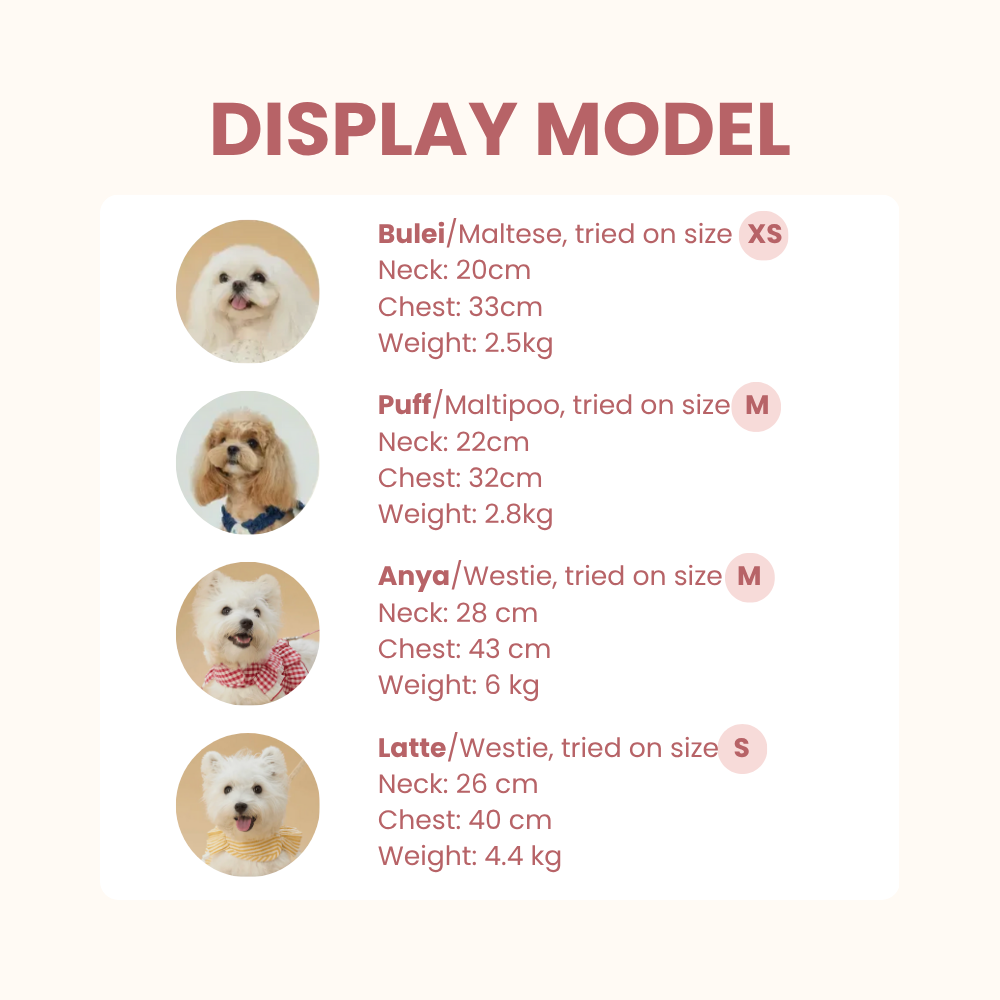 Cupcake Double-Layer Lace Dog Harness