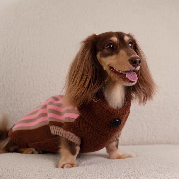 Dachshund Striped Turtleneck Warm Dog Jumper