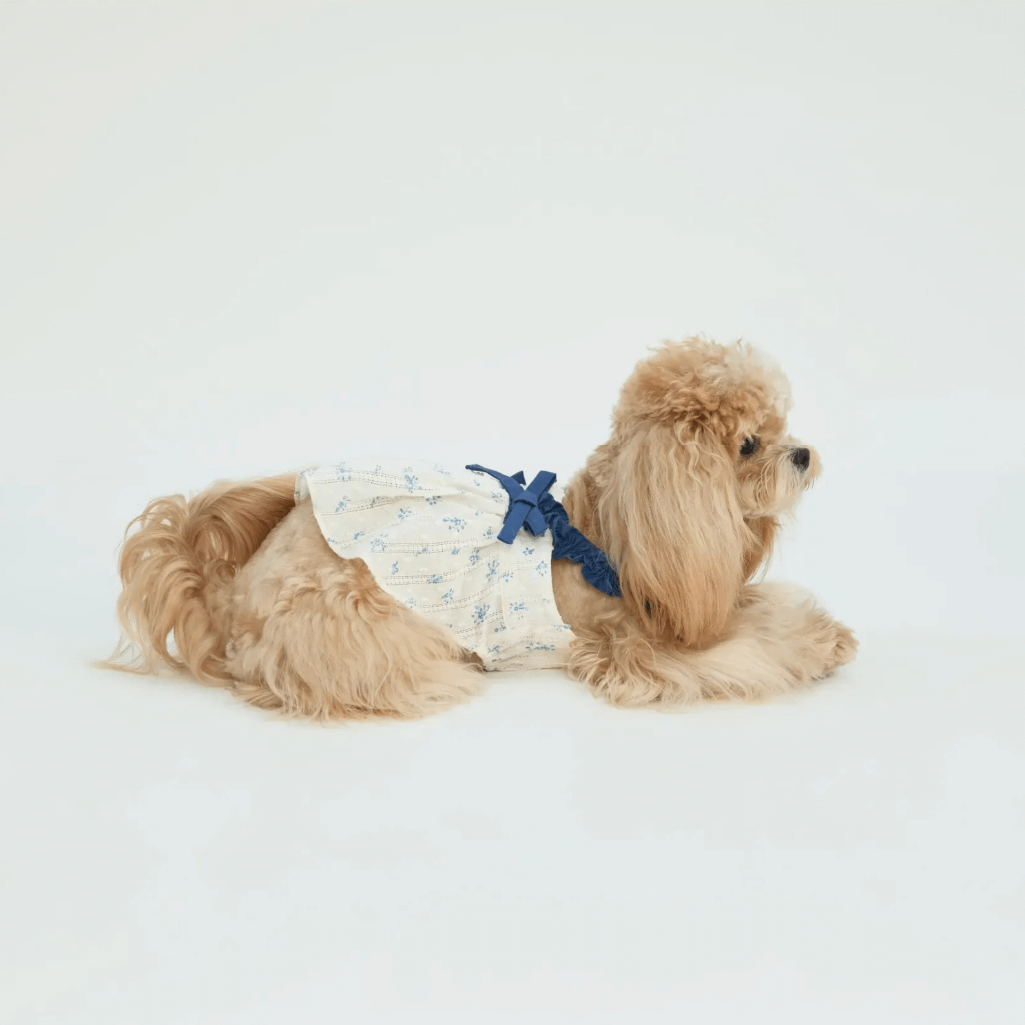 Pet Indigo Floral Sundress Dog Clothes
