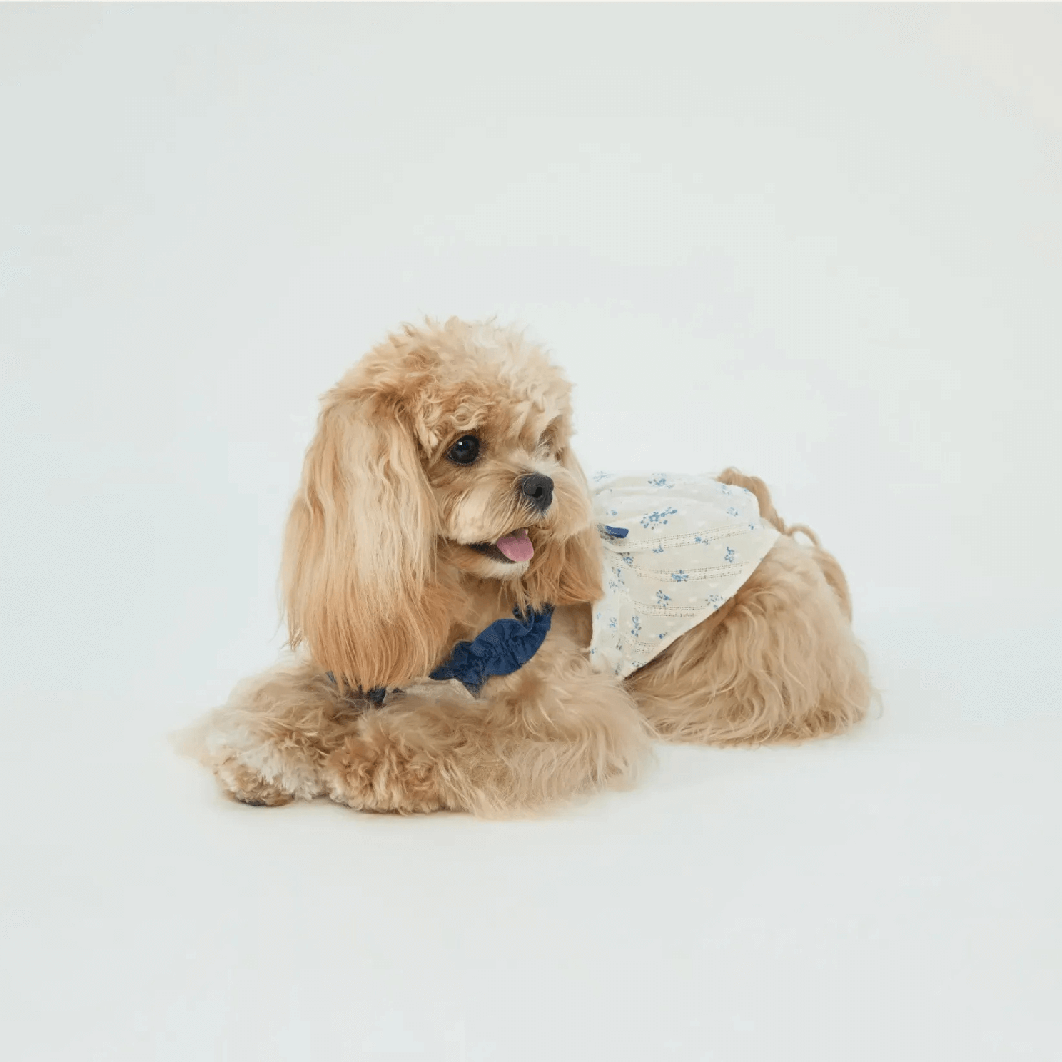 Pet Indigo Floral Sundress Dog Clothes