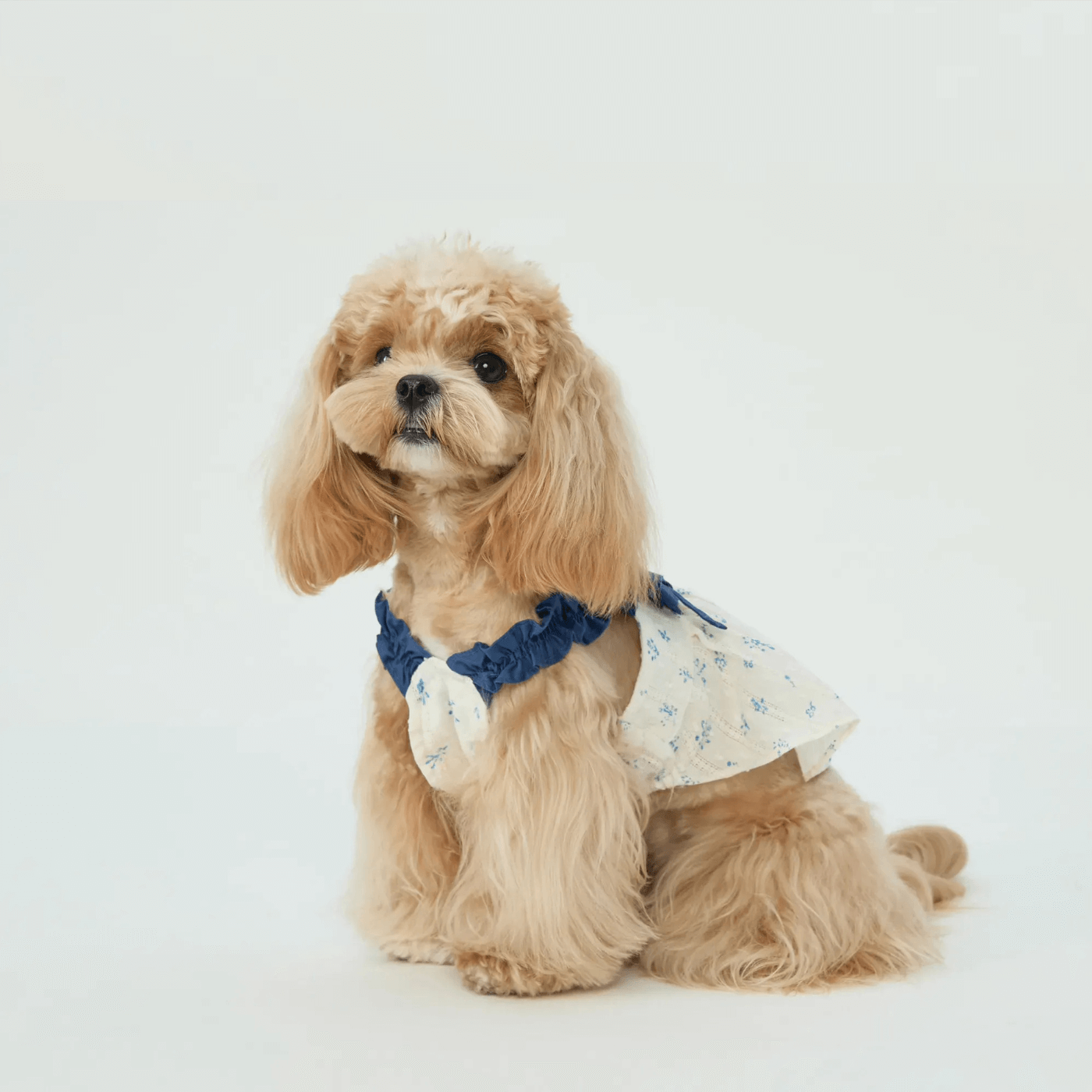 Pet Indigo Floral Sundress Dog Clothes