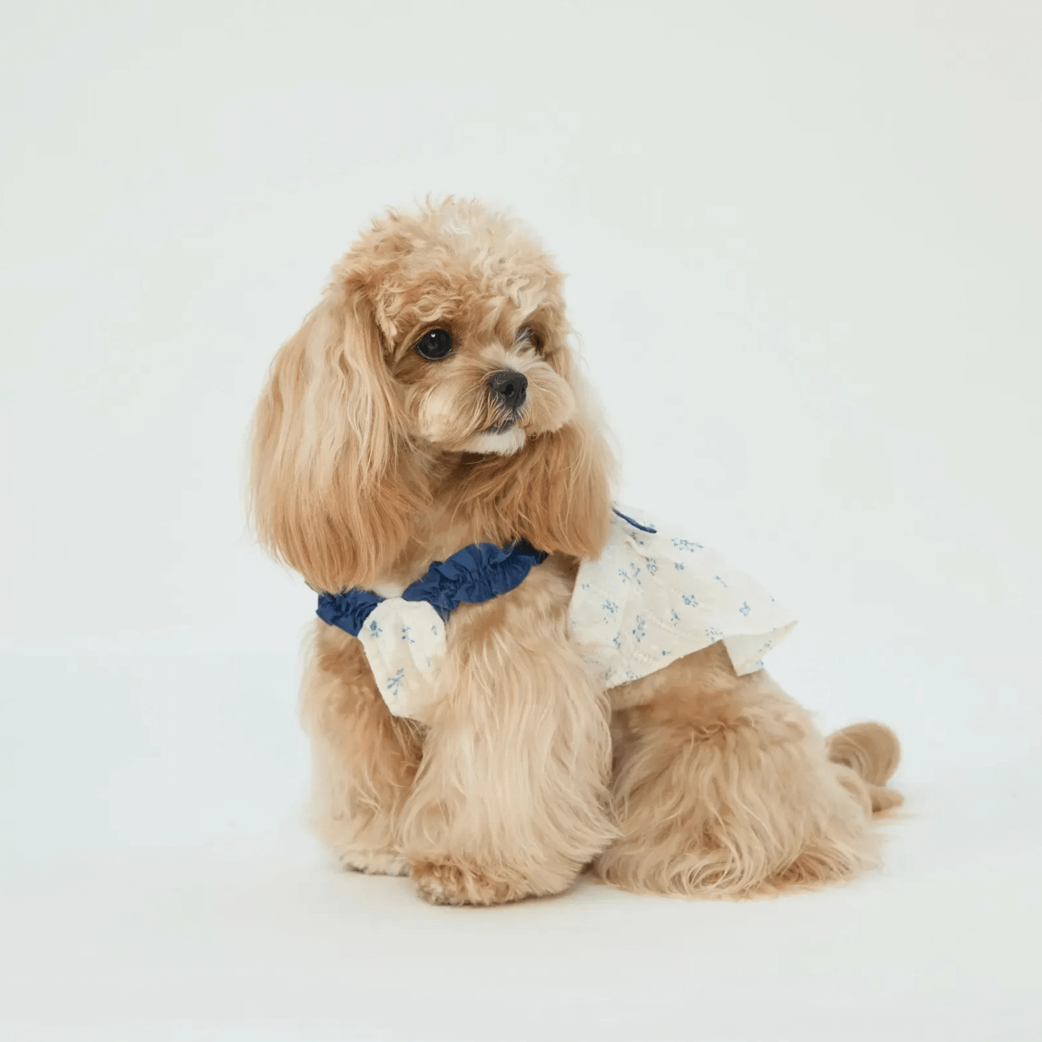 Pet Indigo Floral Sundress Dog Clothes