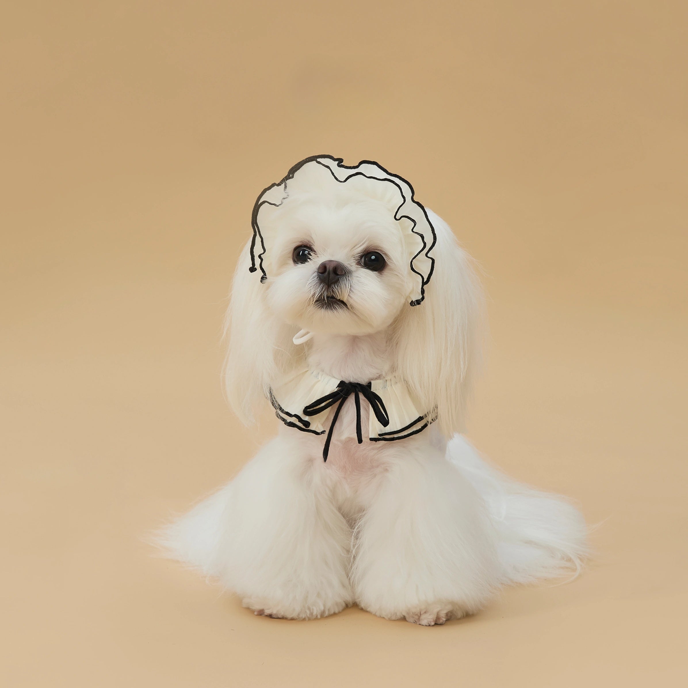 Pet Vintage Bonnet Style Hat and Scarf Set