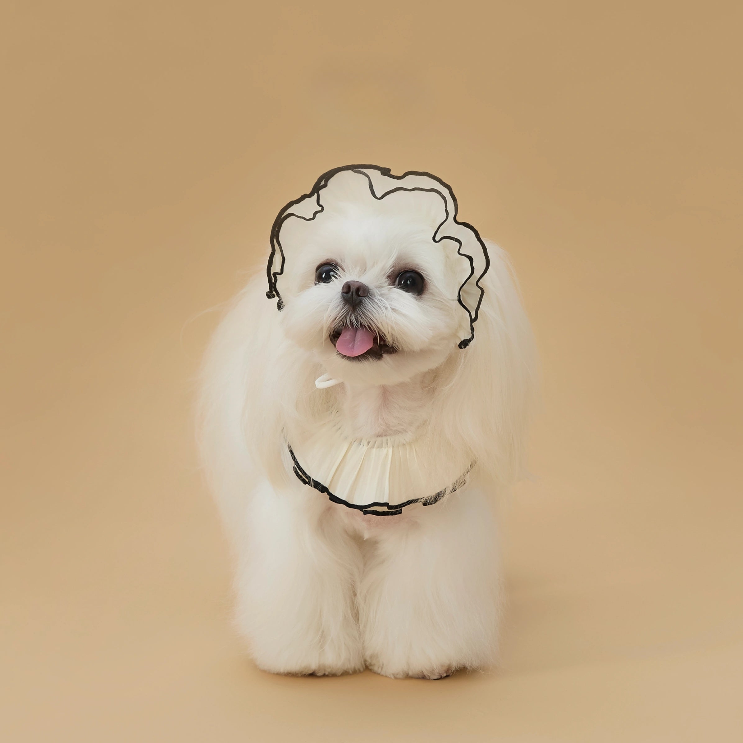 Pet Vintage Bonnet Style Hat and Scarf Set