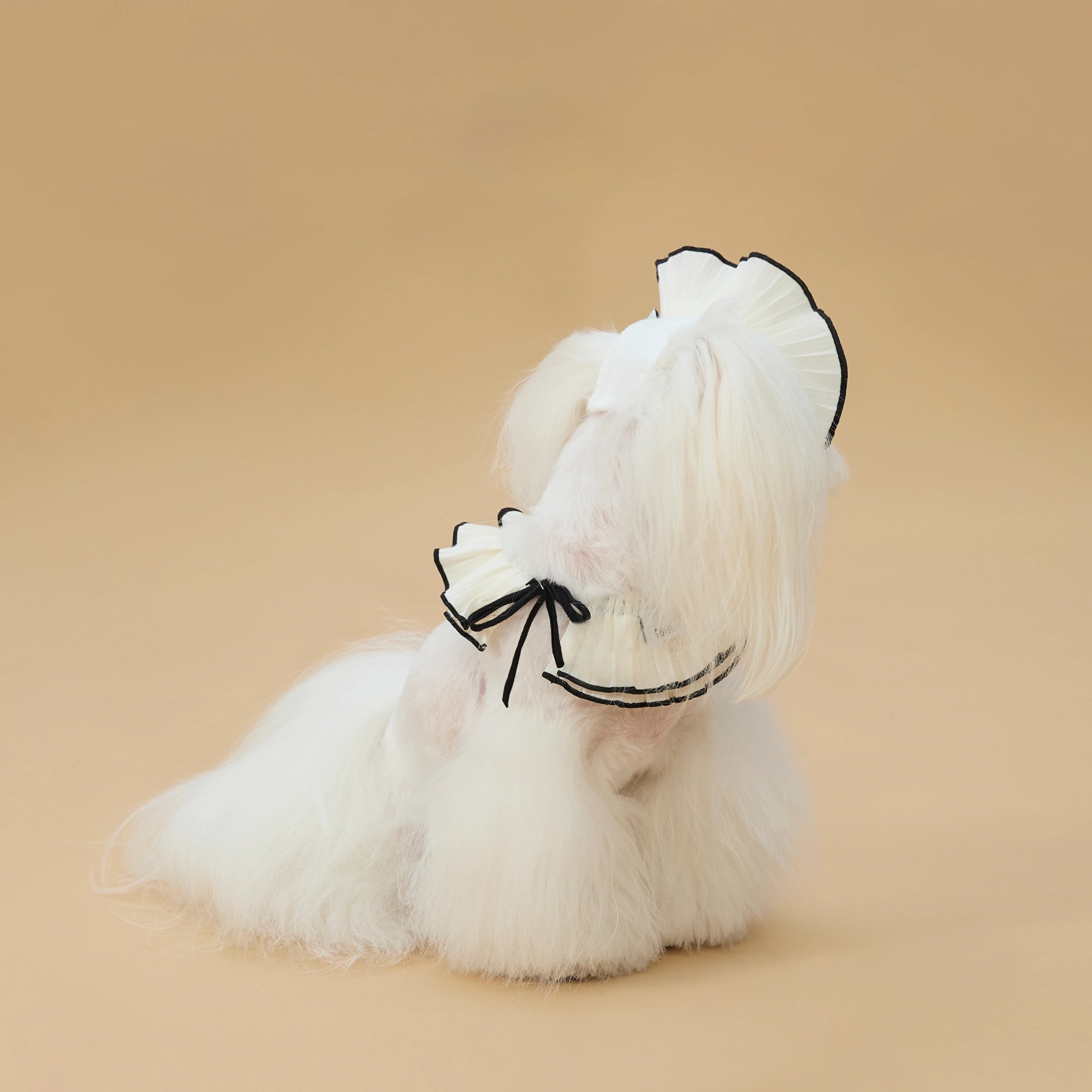 Pet Vintage Bonnet Style Hat and Scarf Set