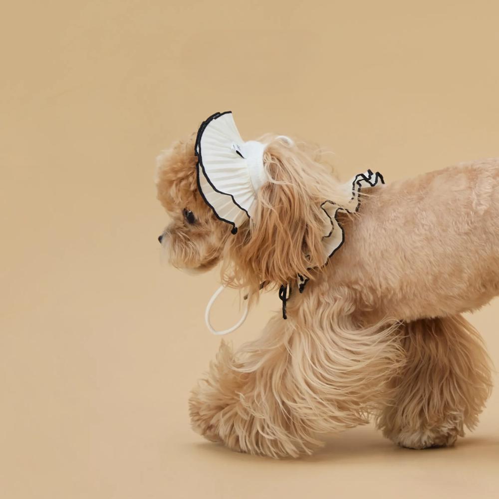 Pet Vintage Bonnet Style Hat and Scarf Set