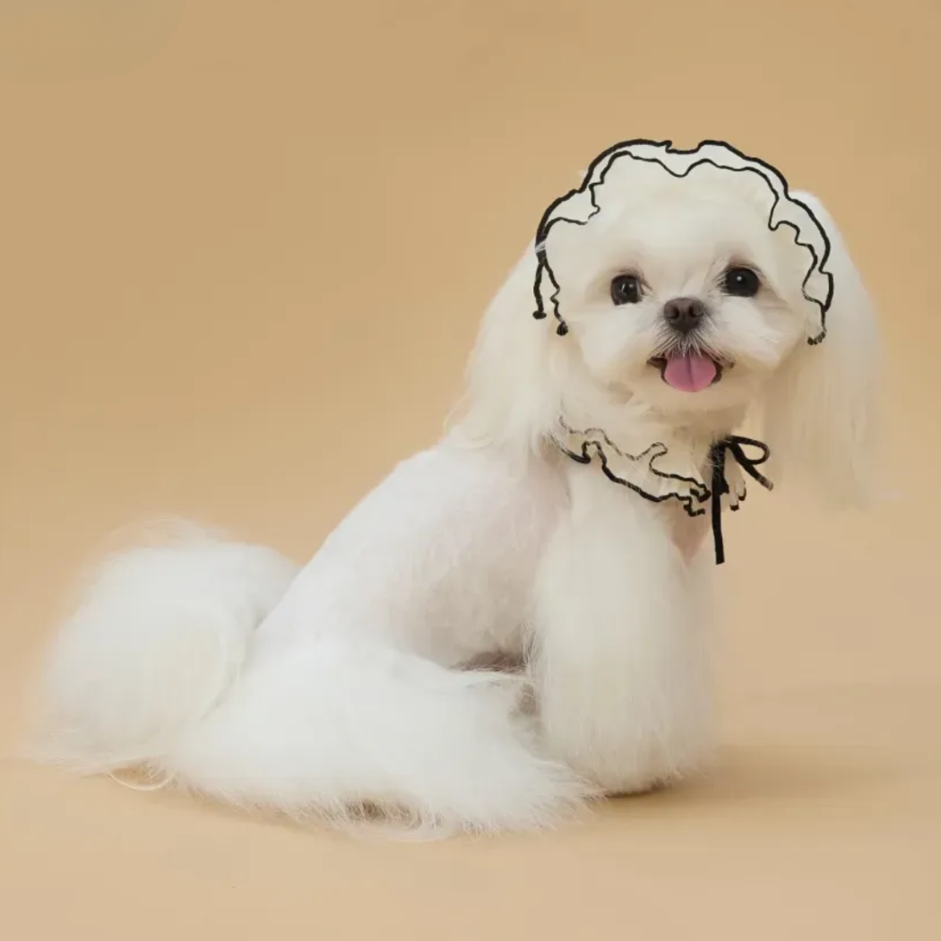 Pet Vintage Bonnet Style Hat and Scarf Set