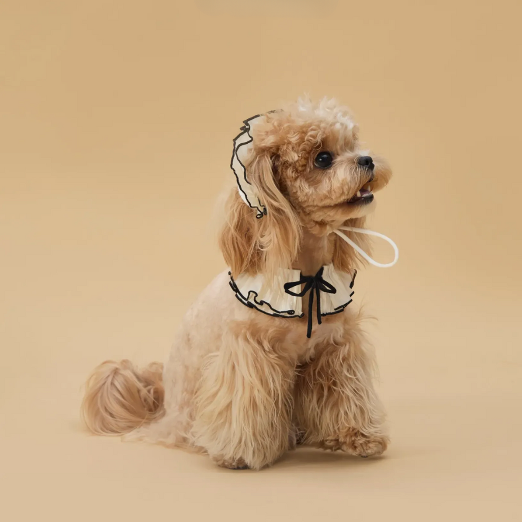 Pet Vintage Bonnet Style Hat and Scarf Set