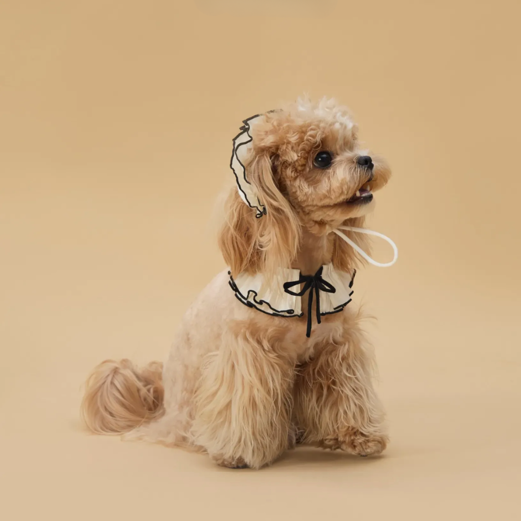 Pet Vintage Bonnet Style Hat and Scarf Set