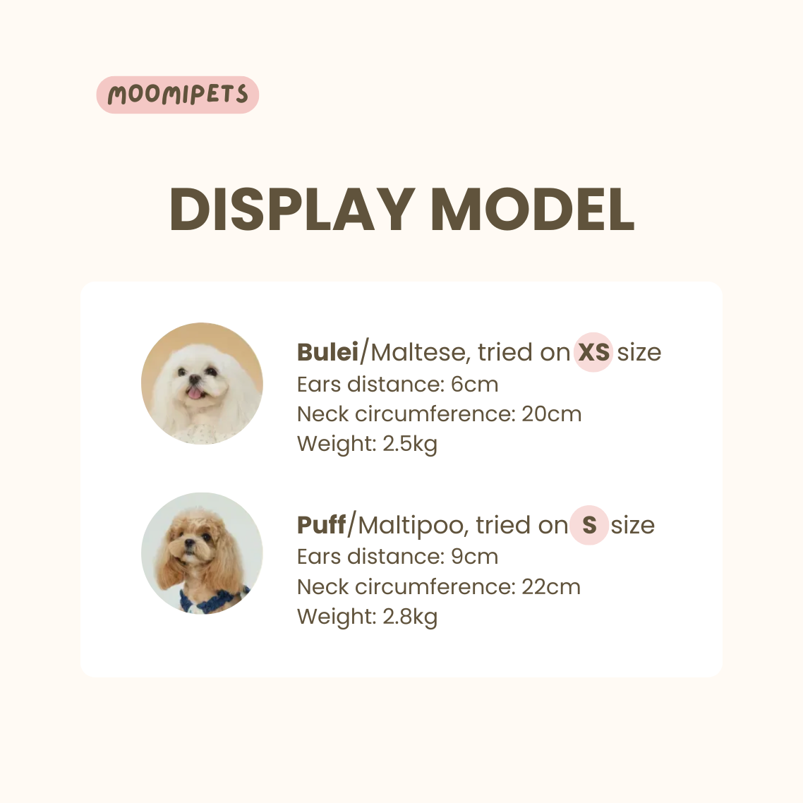 Pet Vintage Bonnet Style Hat and Scarf Set