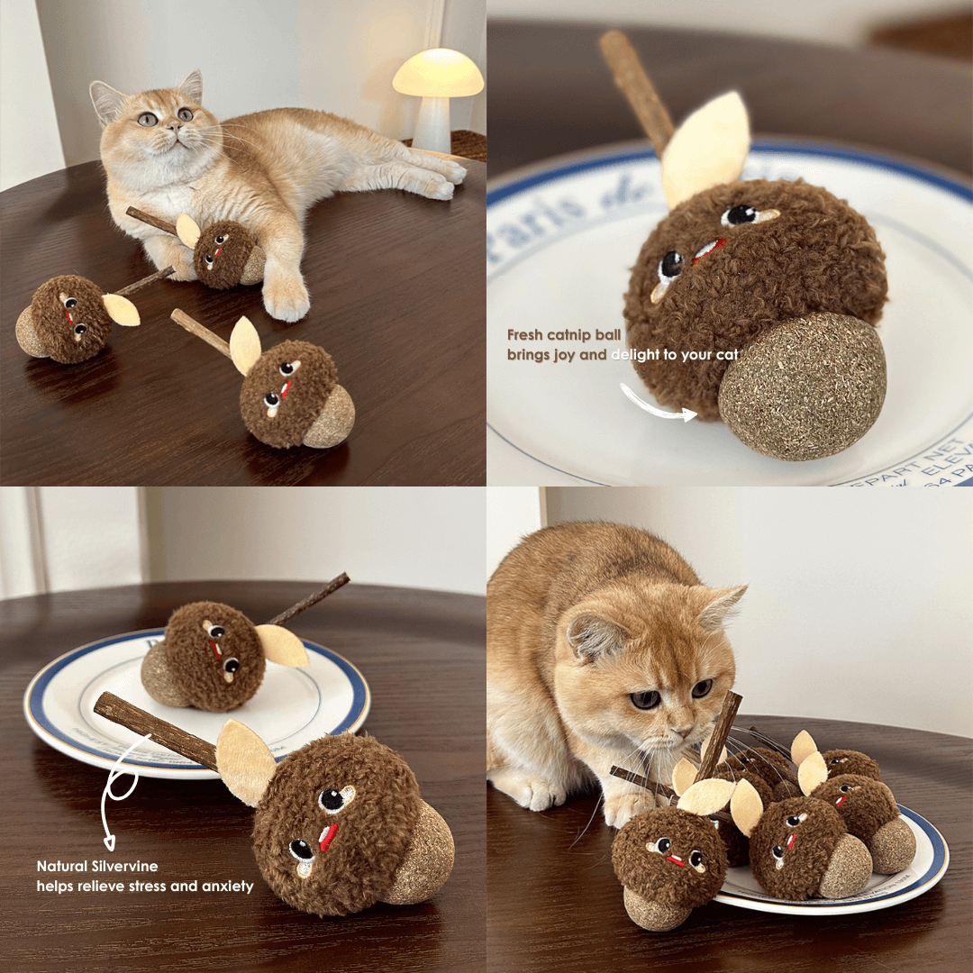Hazelnut Cat Chew Toy