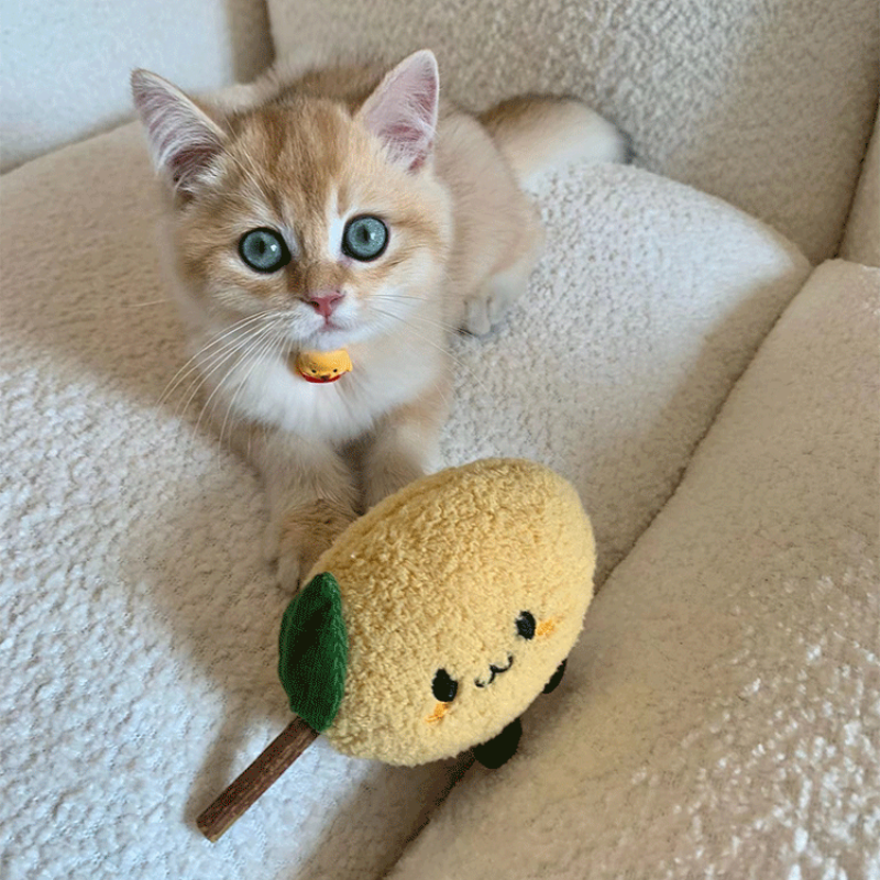Lemon Cat Chew Toy