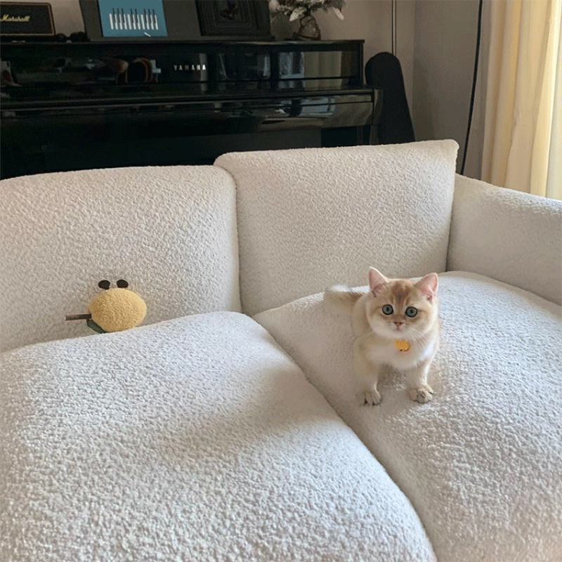 Lemon Cat Chew Toy