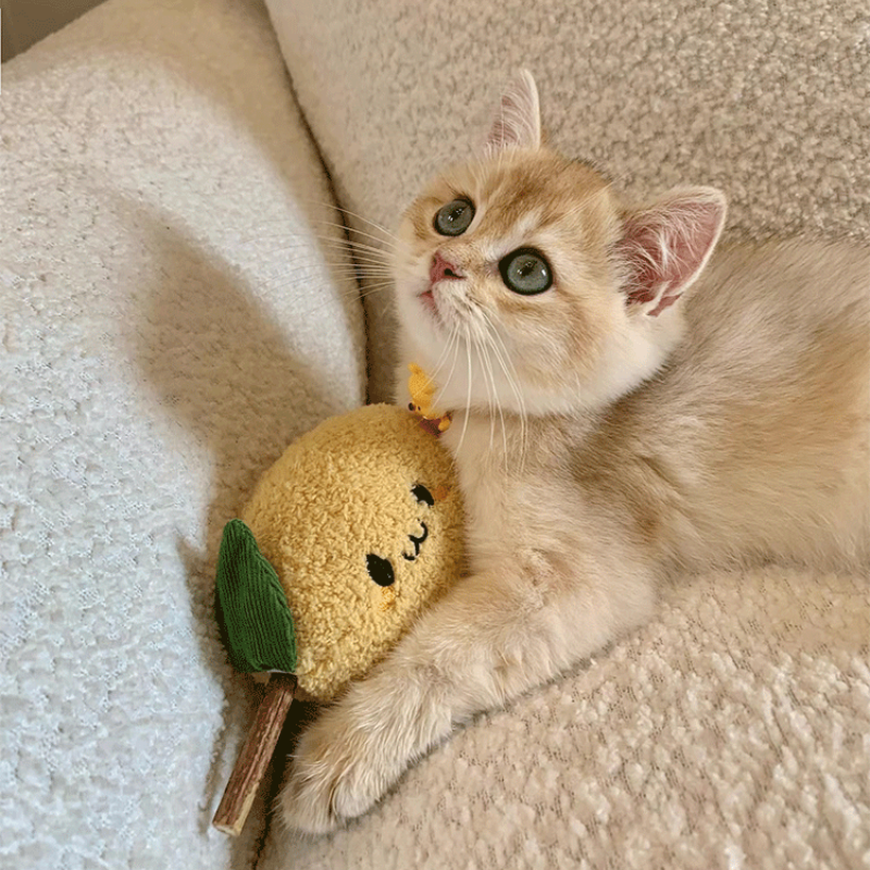 Lemon Cat Chew Toy
